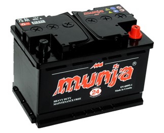 munja.jpg